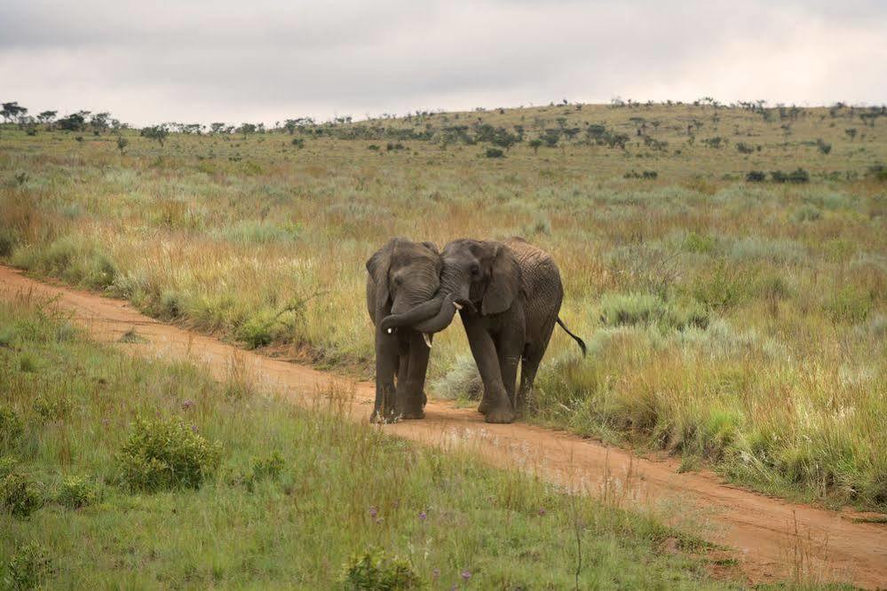 Mhondoro Safari Lodge & Villa Ваальватер Экстерьер фото